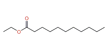 Ethyl undecanoate